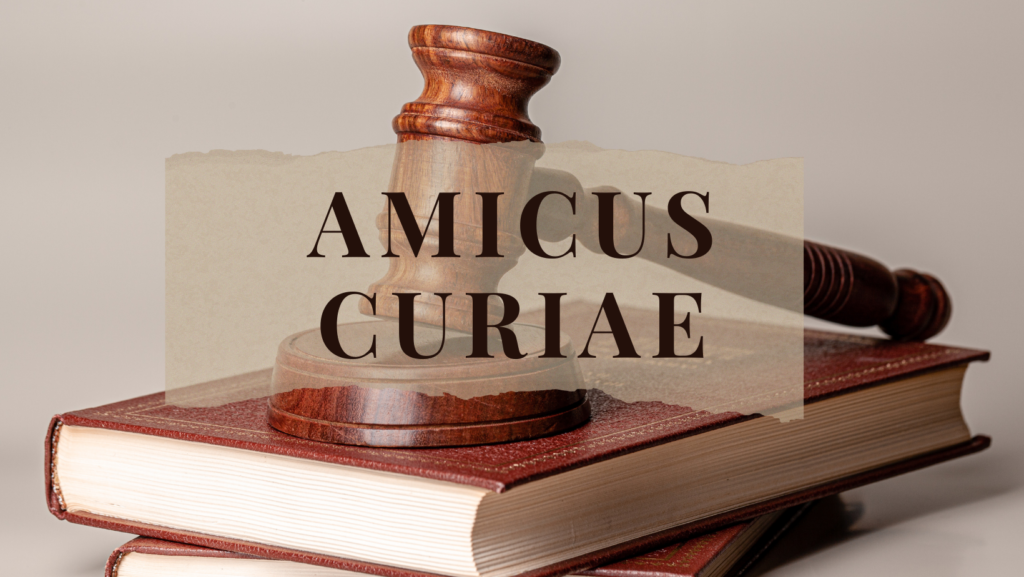 Legal consultancy services